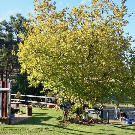 The Stables Wandin North Exterior foto