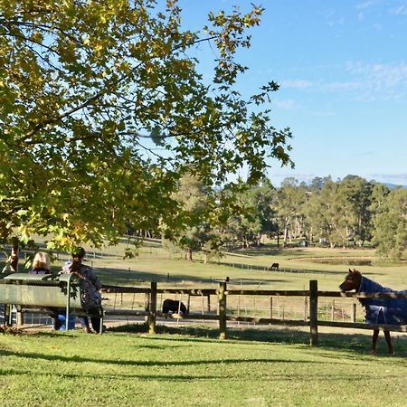 The Stables Wandin North Exterior foto