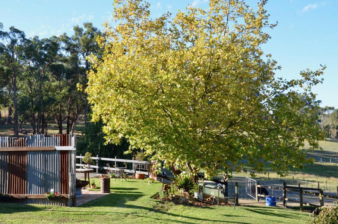 The Stables Wandin North Exterior foto