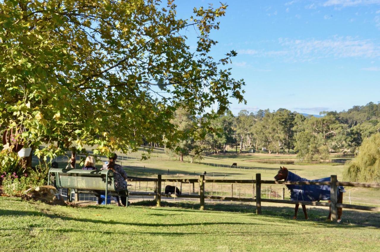 The Stables Wandin North Exterior foto