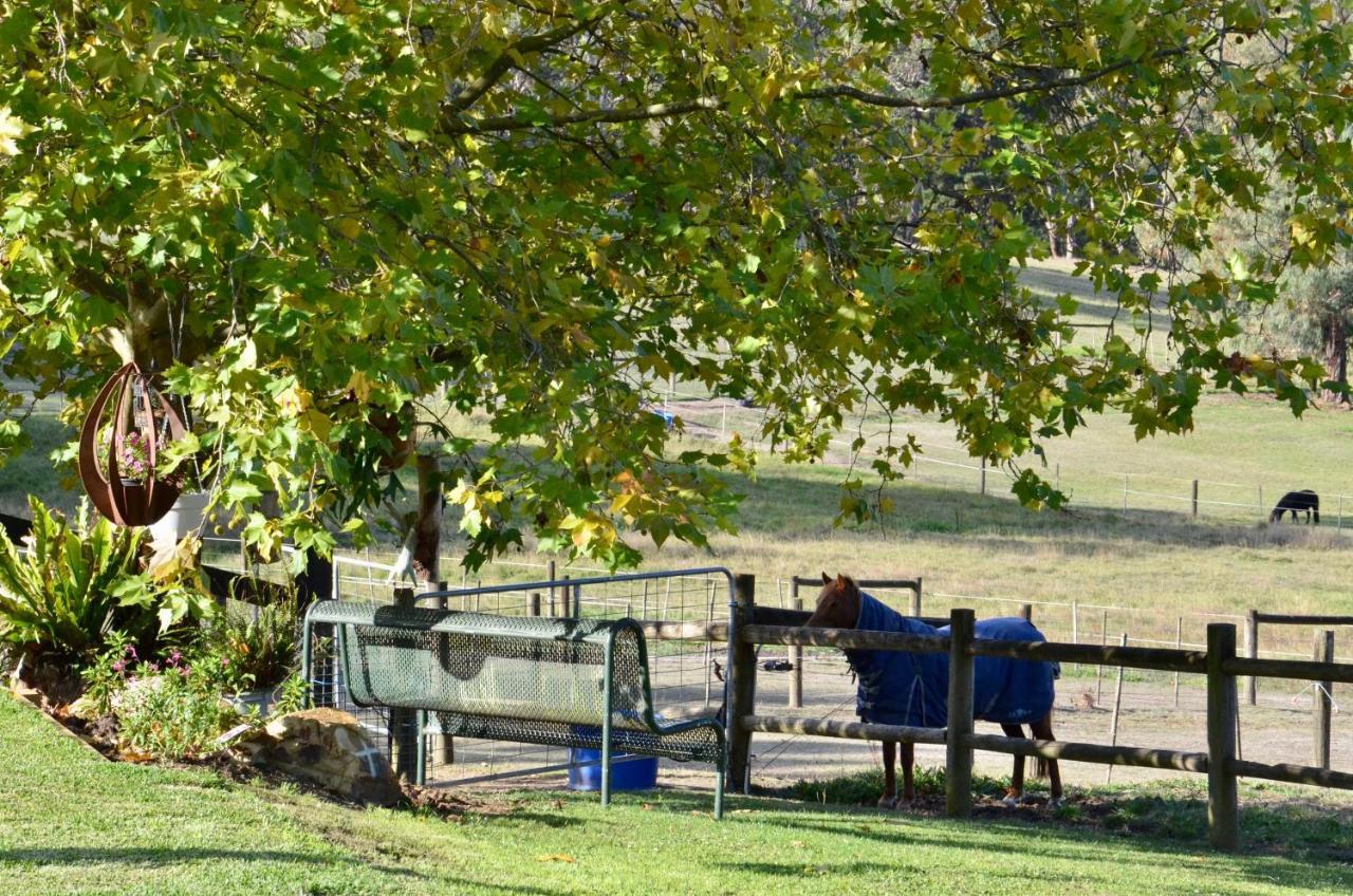The Stables Wandin North Exterior foto