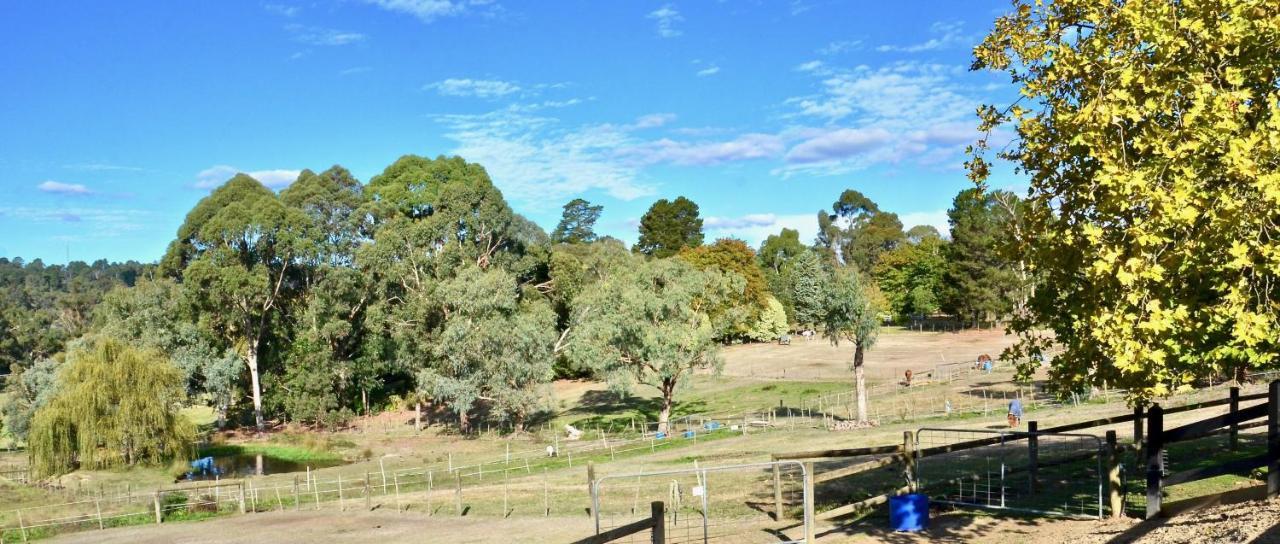 The Stables Wandin North Exterior foto